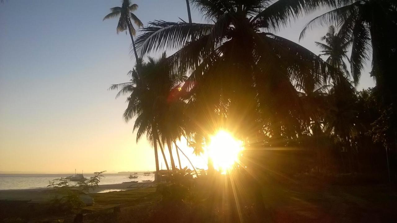 Homaja Beachresort Panglao Exterior foto