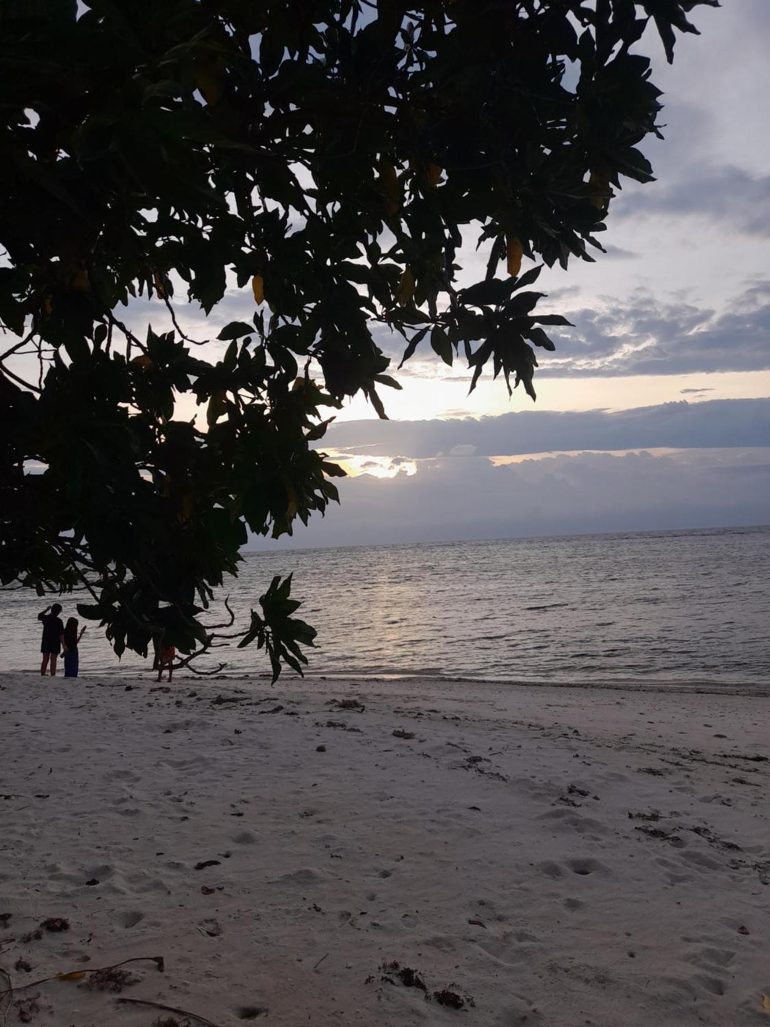 Homaja Beachresort Panglao Exterior foto